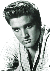 [Completely gratuitous Elvis image]