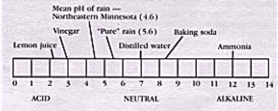 [pH scale illustrated]